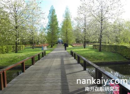 南开大学在职研究生招生